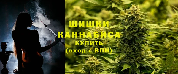 ГАЛЛЮЦИНОГЕННЫЕ ГРИБЫ Баксан